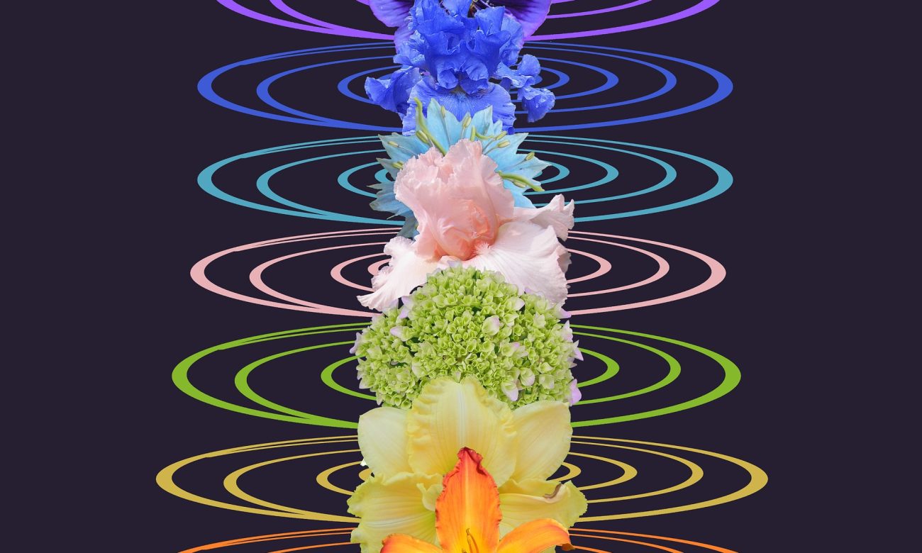 chakras-gb037ddef8_1920 chakras-gb037ddef8_1920