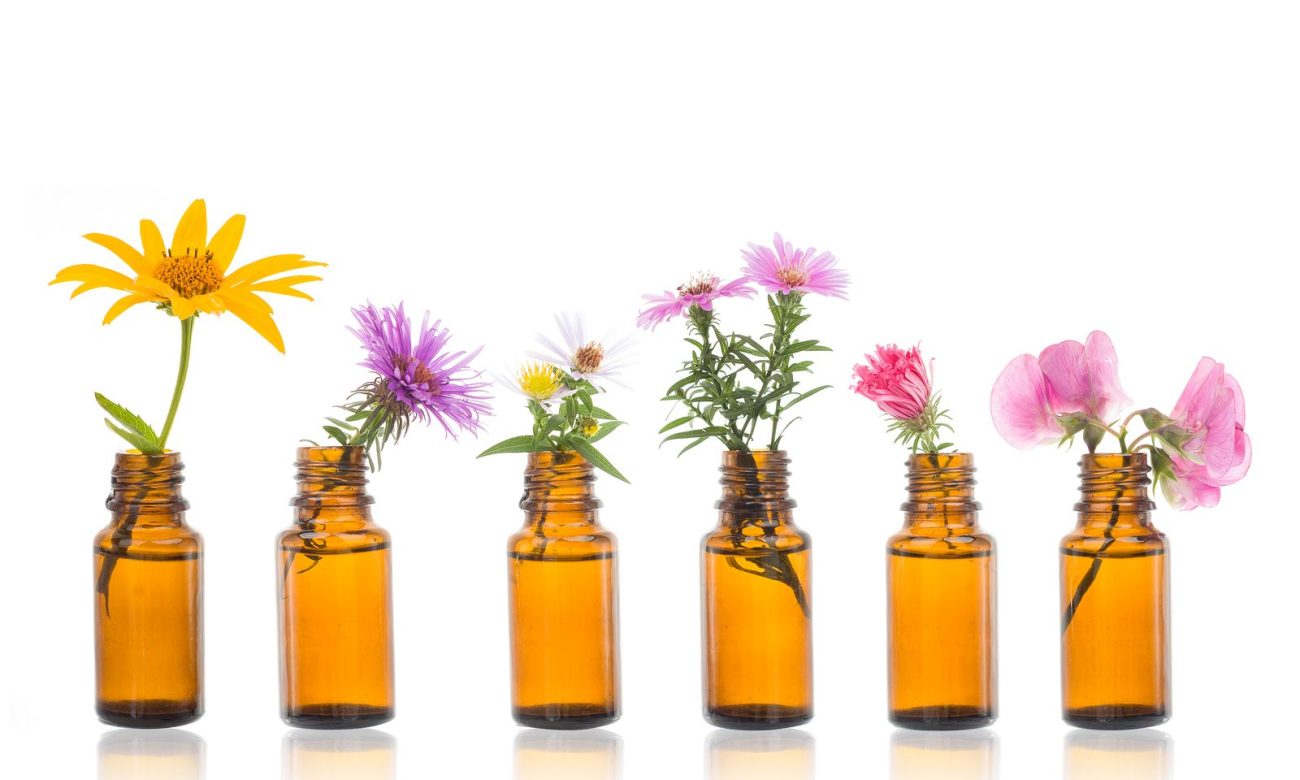 que-son-las-flores-de-bach que-son-las-flores-de-bach